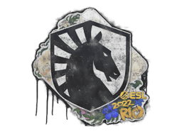 Sealed Graffiti | Team Liquid | Rio 2022